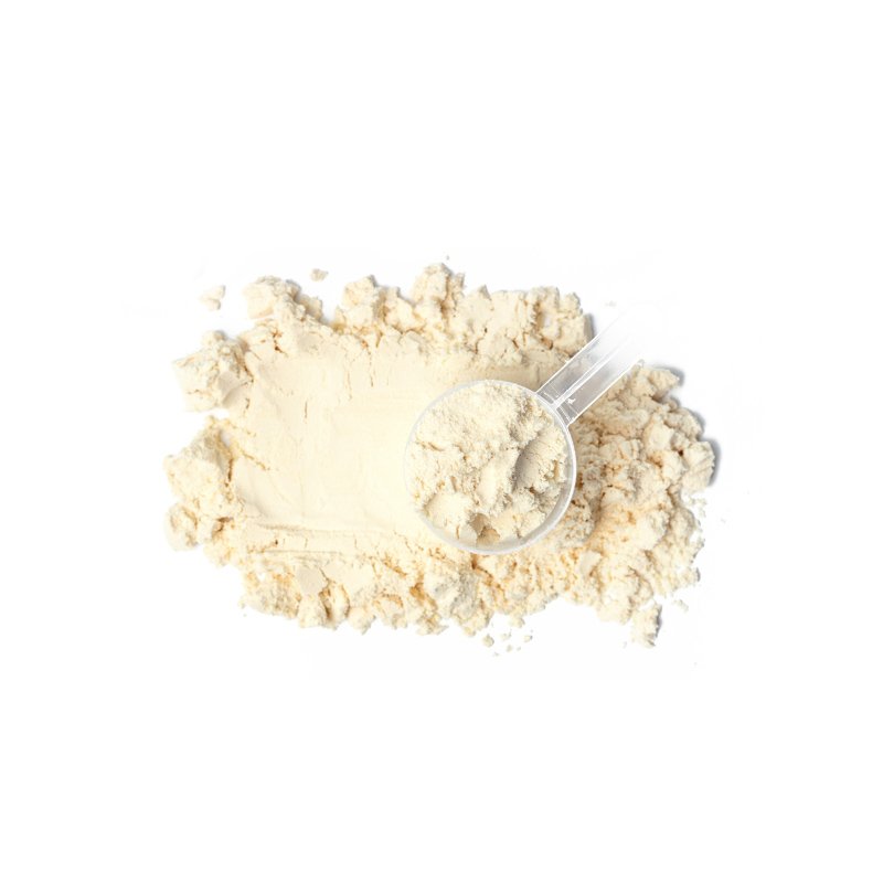 Life Extension, cream coloured heap of protein powder, in center of image, with clear plastic scoop of powder on top, on white background